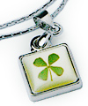 4 Clover Leaf White Gold Plated Necklace - Square Token