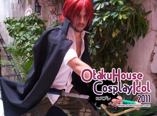 Top One Piece Cosplay Otaku House