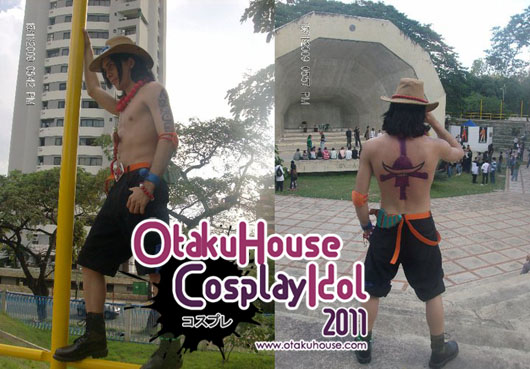 Top One Piece Cosplay Otaku House