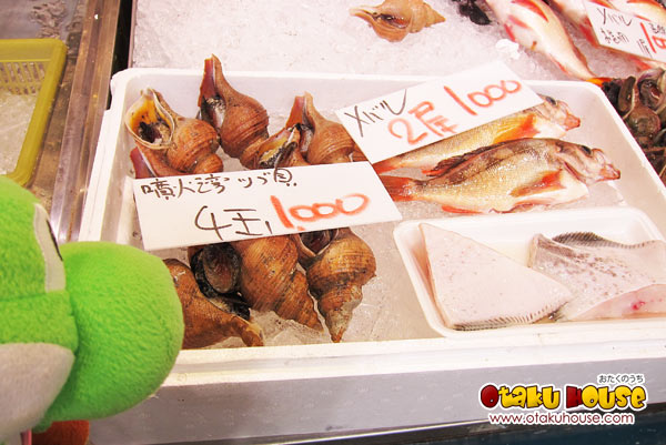 Hakodate Japan - Hokkaido Seafood