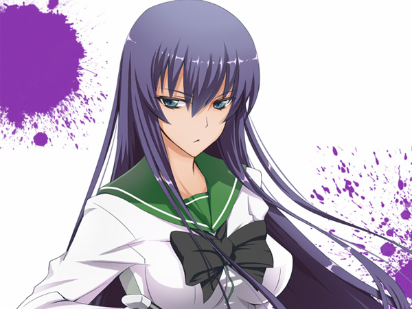 High School Of The Dead - Busujima Saeko Banner