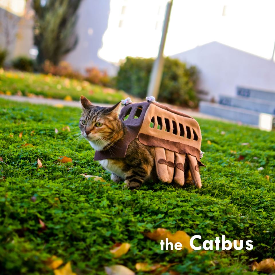 How to make a Catbus Cosplay from Totoro