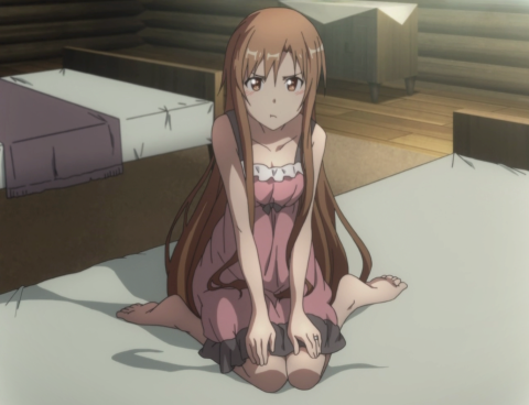 Come on. Every Guy Loves Asuna